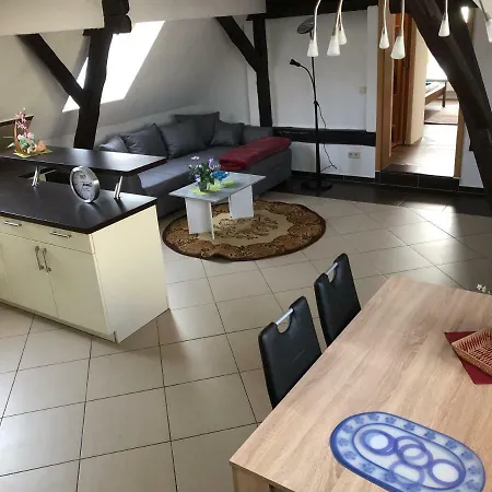 Am Rande Der Duebener Heide
